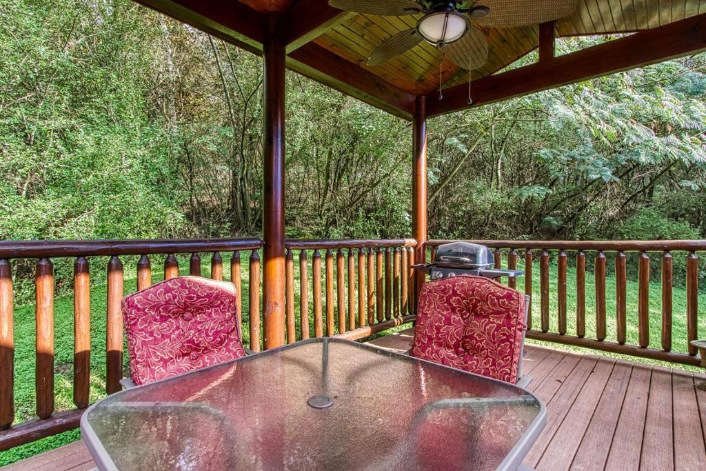 Papa Bear, Hot Tub, Wifi, 1089 Free Tickets Each Paid Day, Dollywood And More Sevierville Exteriör bild