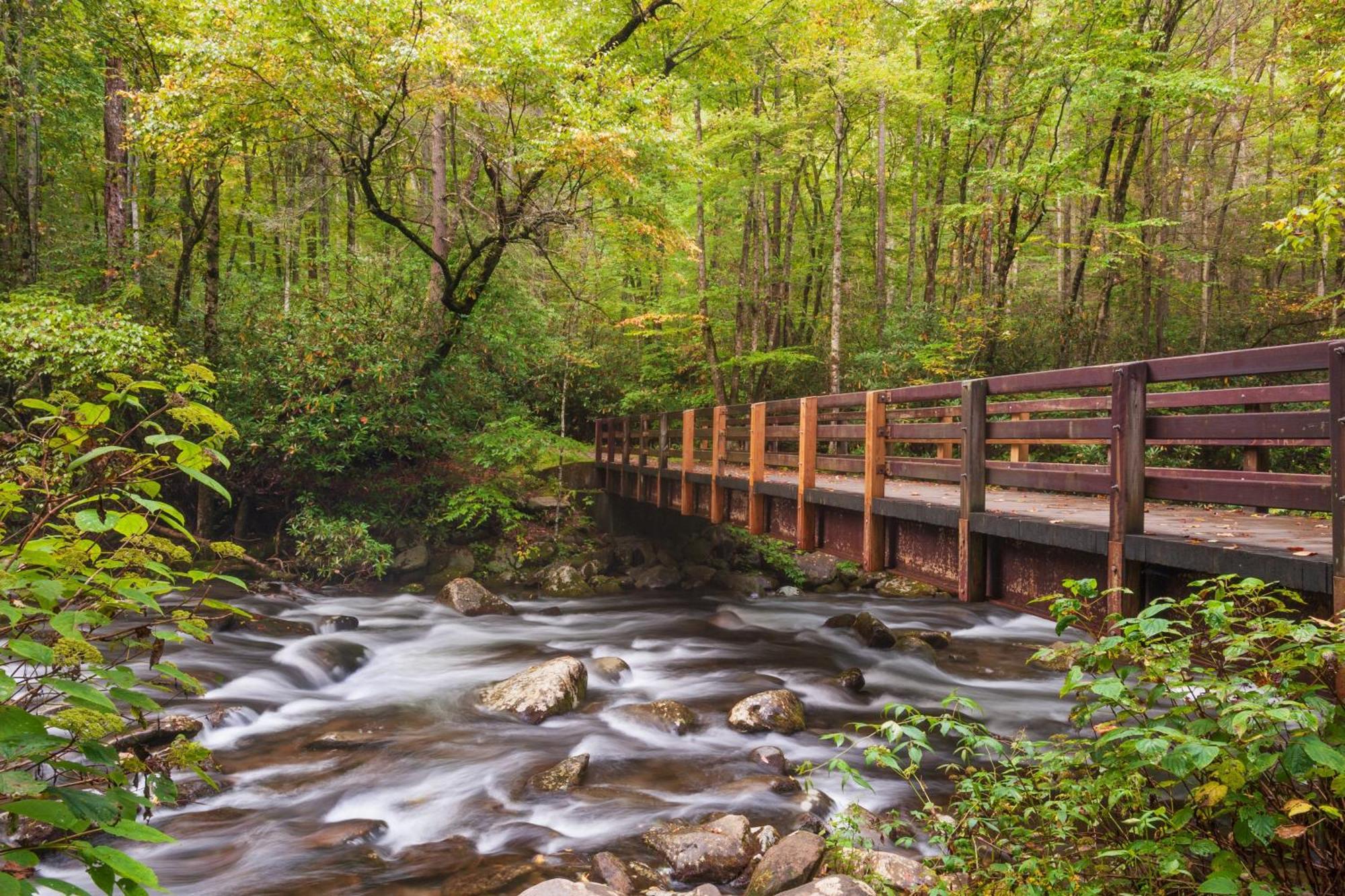 Papa Bear, Hot Tub, Wifi, 1089 Free Tickets Each Paid Day, Dollywood And More Sevierville Exteriör bild